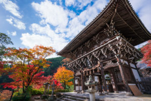 京都　善峯寺の山門と紅葉